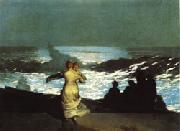 Winslow Homer A Summer Night oil painting picture wholesale